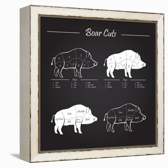 Boar Meat Cut Diagram - Elements Blackboard-ONiONAstudio-Framed Stretched Canvas