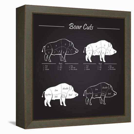 Boar Meat Cut Diagram - Elements Blackboard-ONiONAstudio-Framed Stretched Canvas