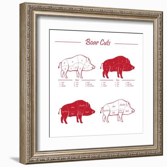 Boar Meat Cut Diagram - Elements Red on White-ONiONAstudio-Framed Art Print