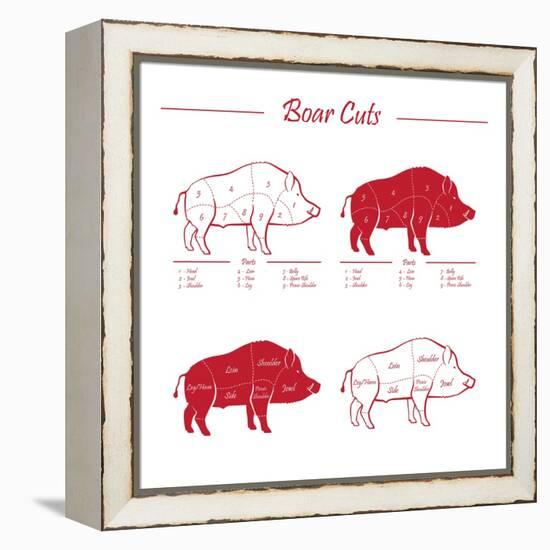 Boar Meat Cut Diagram - Elements Red on White-ONiONAstudio-Framed Stretched Canvas