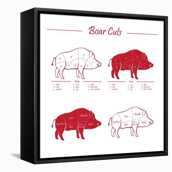 Boar Meat Cut Diagram - Elements Red on White-ONiONAstudio-Framed Stretched Canvas