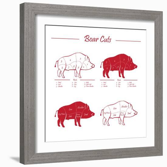 Boar Meat Cut Diagram - Elements Red on White-ONiONAstudio-Framed Premium Giclee Print