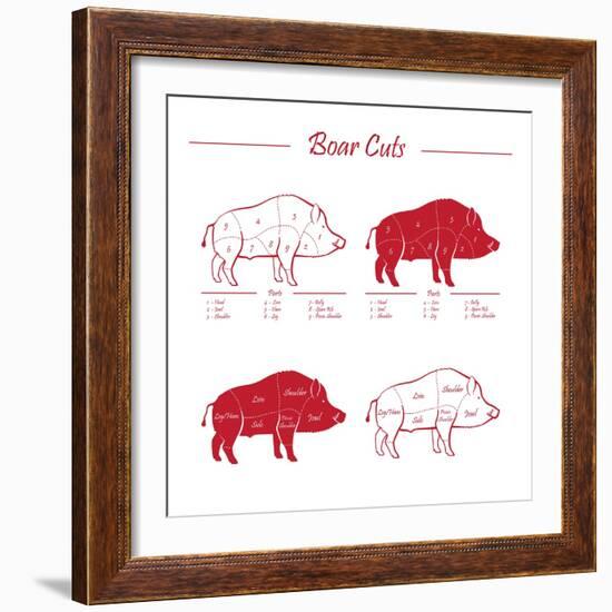Boar Meat Cut Diagram - Elements Red on White-ONiONAstudio-Framed Premium Giclee Print