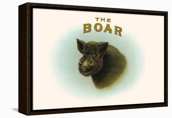 Boar-null-Framed Stretched Canvas