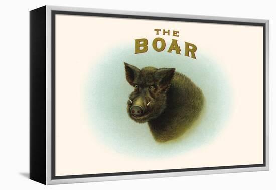 Boar-null-Framed Stretched Canvas