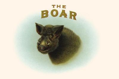 Wild boar  Britannica