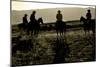 Board Meeting-Amanda Lee Smith-Mounted Photographic Print