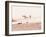 Board Meeting-Myan Soffia-Framed Photographic Print