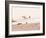 Board Meeting-Myan Soffia-Framed Photographic Print