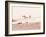 Board Meeting-Myan Soffia-Framed Photographic Print