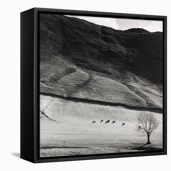 Boardale, Cumbria 1982-Fay Godwin-Framed Premier Image Canvas