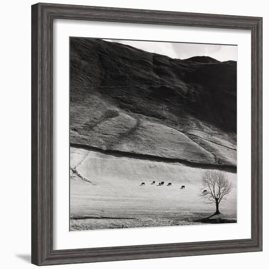 Boardale, Cumbria 1982-Fay Godwin-Framed Giclee Print