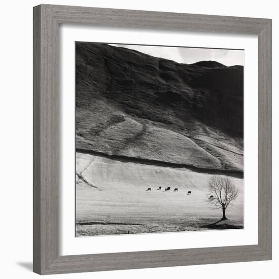 Boardale, Cumbria 1982-Fay Godwin-Framed Giclee Print