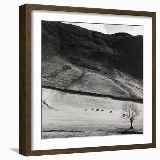 Boardale, Cumbria 1982-Fay Godwin-Framed Giclee Print