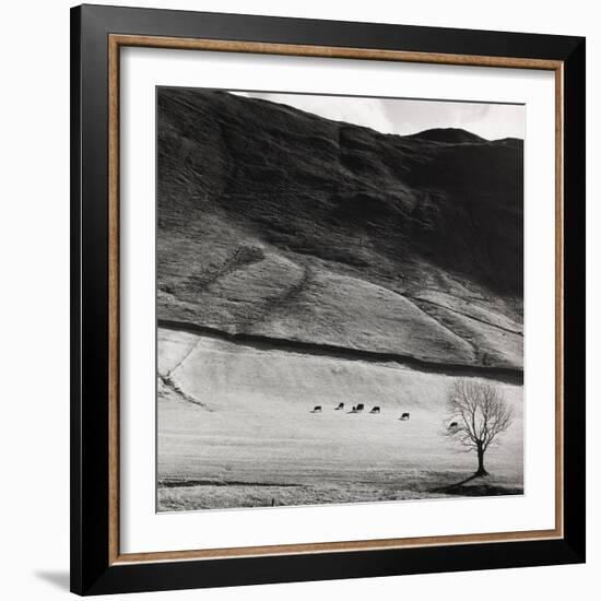 Boardale, Cumbria 1982-Fay Godwin-Framed Giclee Print