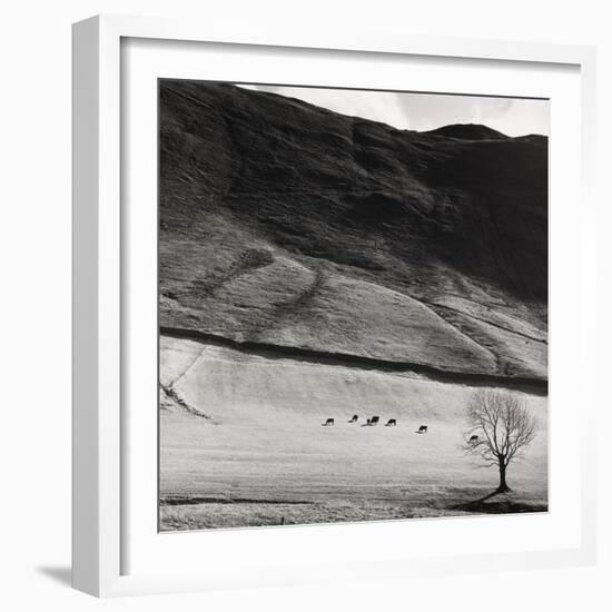 Boardale, Cumbria 1982-Fay Godwin-Framed Giclee Print