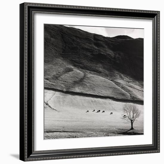 Boardale, Cumbria 1982-Fay Godwin-Framed Giclee Print