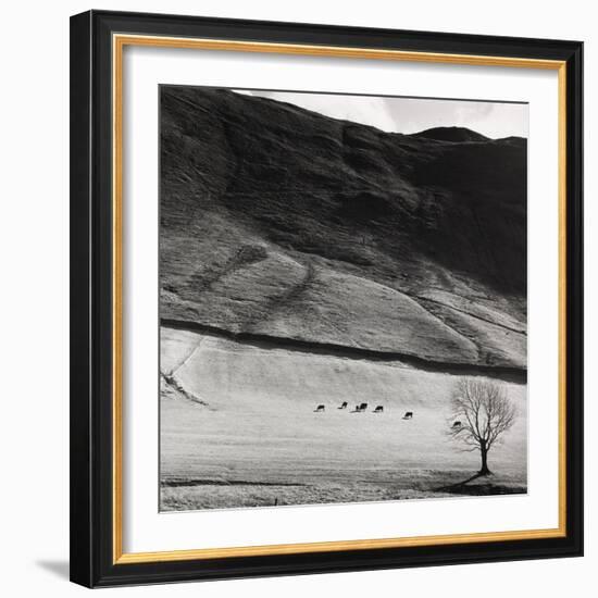 Boardale, Cumbria 1982-Fay Godwin-Framed Giclee Print