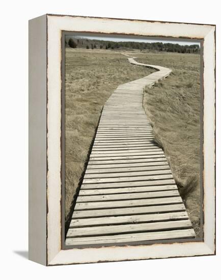 Boardwalk across a Tidal Marsh Leading to a Wooden Area at a Wildlife Sanctuary-John Nordell-Framed Premier Image Canvas