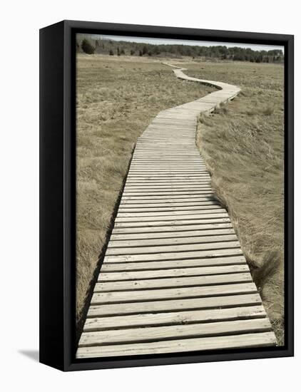 Boardwalk across a Tidal Marsh Leading to a Wooden Area at a Wildlife Sanctuary-John Nordell-Framed Premier Image Canvas