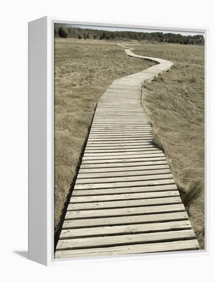 Boardwalk across a Tidal Marsh Leading to a Wooden Area at a Wildlife Sanctuary-John Nordell-Framed Premier Image Canvas