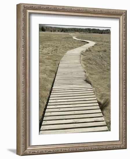 Boardwalk across a Tidal Marsh Leading to a Wooden Area at a Wildlife Sanctuary-John Nordell-Framed Photographic Print