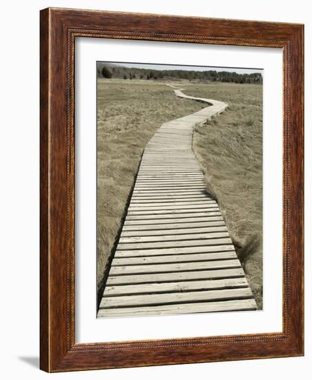 Boardwalk across a Tidal Marsh Leading to a Wooden Area at a Wildlife Sanctuary-John Nordell-Framed Photographic Print