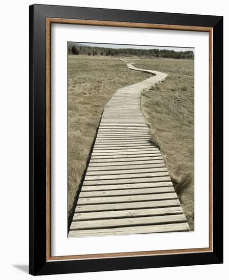 Boardwalk across a Tidal Marsh Leading to a Wooden Area at a Wildlife Sanctuary-John Nordell-Framed Photographic Print