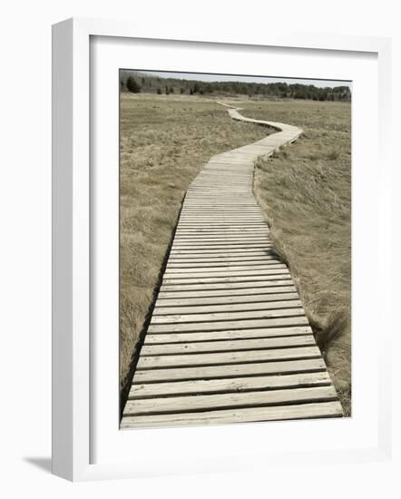 Boardwalk across a Tidal Marsh Leading to a Wooden Area at a Wildlife Sanctuary-John Nordell-Framed Photographic Print