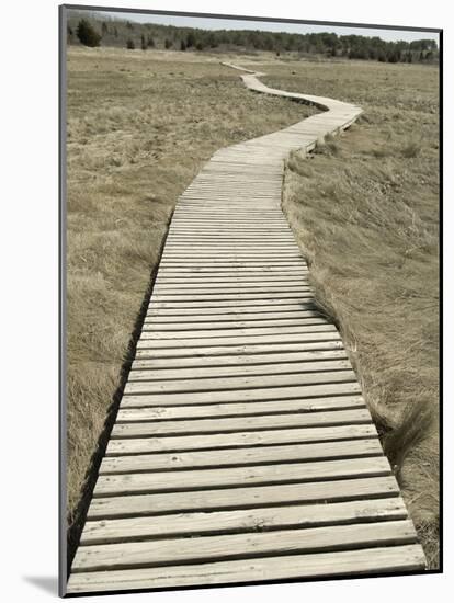 Boardwalk across a Tidal Marsh Leading to a Wooden Area at a Wildlife Sanctuary-John Nordell-Mounted Photographic Print