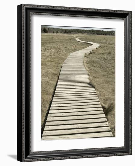 Boardwalk across a Tidal Marsh Leading to a Wooden Area at a Wildlife Sanctuary-John Nordell-Framed Photographic Print