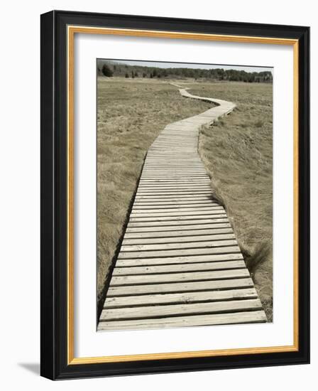 Boardwalk across a Tidal Marsh Leading to a Wooden Area at a Wildlife Sanctuary-John Nordell-Framed Photographic Print