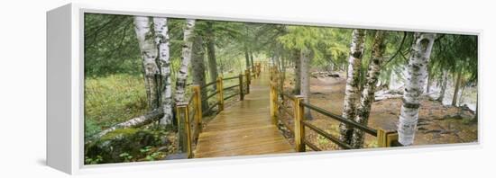 Boardwalk Along a River, Gooseberry River, Gooseberry Falls State Park, Minnesota, USA-null-Framed Premier Image Canvas