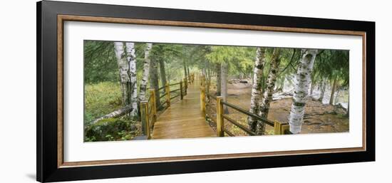 Boardwalk Along a River, Gooseberry River, Gooseberry Falls State Park, Minnesota, USA-null-Framed Photographic Print