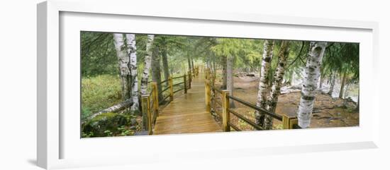 Boardwalk Along a River, Gooseberry River, Gooseberry Falls State Park, Minnesota, USA-null-Framed Photographic Print