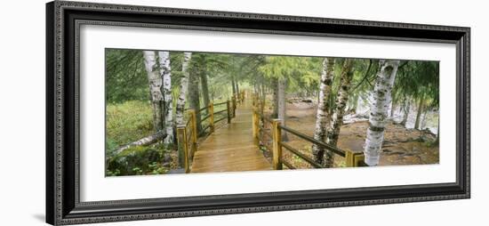 Boardwalk Along a River, Gooseberry River, Gooseberry Falls State Park, Minnesota, USA-null-Framed Photographic Print