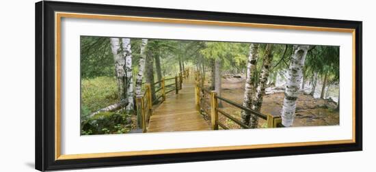 Boardwalk Along a River, Gooseberry River, Gooseberry Falls State Park, Minnesota, USA-null-Framed Photographic Print