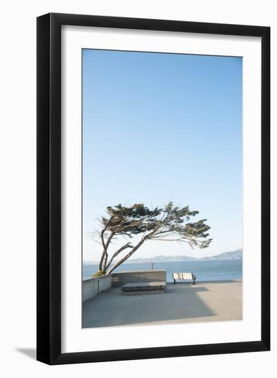 Boardwalk Along San Francisco Bay, CA-Justin Bailie-Framed Photographic Print