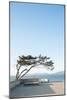 Boardwalk Along San Francisco Bay, CA-Justin Bailie-Mounted Photographic Print