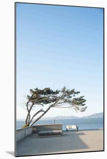 Boardwalk Along San Francisco Bay, CA-Justin Bailie-Mounted Photographic Print