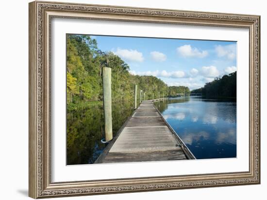 Boardwalk along Wades Creek, near St. Augustine, Florida, United States of America, North America-Ethel Davies-Framed Premium Photographic Print