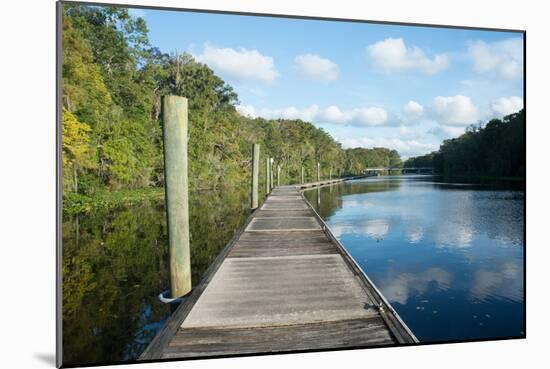 Boardwalk along Wades Creek, near St. Augustine, Florida, United States of America, North America-Ethel Davies-Mounted Photographic Print