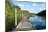 Boardwalk along Wades Creek, near St. Augustine, Florida, United States of America, North America-Ethel Davies-Mounted Photographic Print