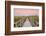 Boardwalk at sunrise, Federsee Lake, Nature reserve, Bad Buchau, Upper Swabia, Baden-Wurttemberg, G-Markus Lange-Framed Photographic Print