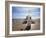 Boardwalk Cafe on the Pier at Felixstowe, Suffolk, England, United Kingdom, Europe-Mark Sunderland-Framed Photographic Print