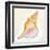 Boardwalk Conch-Elyse DeNeige-Framed Art Print