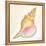 Boardwalk Conch-Elyse DeNeige-Framed Stretched Canvas