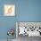 Boardwalk Conch-Elyse DeNeige-Framed Stretched Canvas displayed on a wall