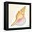 Boardwalk Conch-Elyse DeNeige-Framed Stretched Canvas