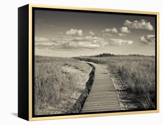 Boardwalk, Good Harbour Beach, Gloucester, Cape Ann, Massachusetts, USA-Walter Bibikow-Framed Premier Image Canvas